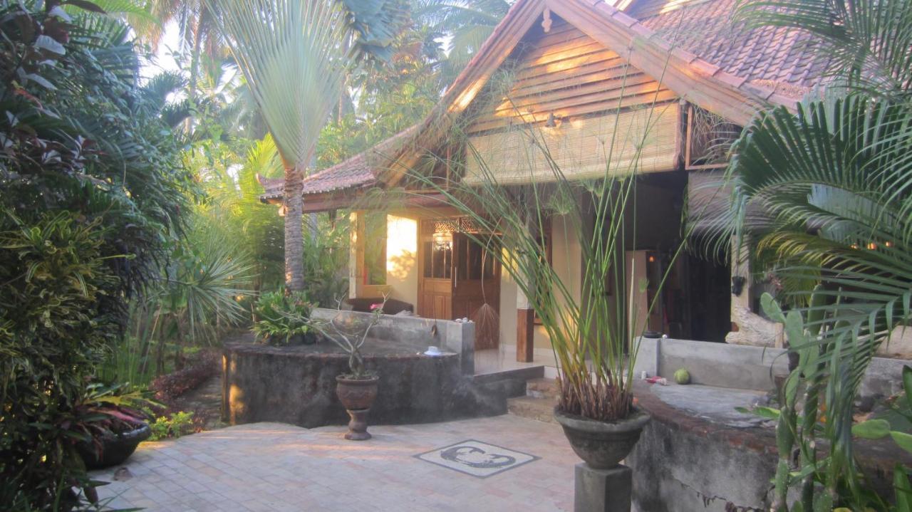 Villa Selina Tejakula Bagian luar foto